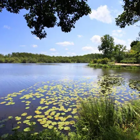 Ocean A 10 Mn, Maison Avec Piscine, Bar Et Babyfoot Σπίτι διακοπών