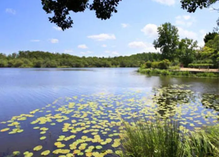 Ocean A 10 Mn, Maison Avec Piscine, Bar Et Babyfoot 펜션